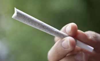 Marijuana