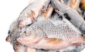 Frozen fish