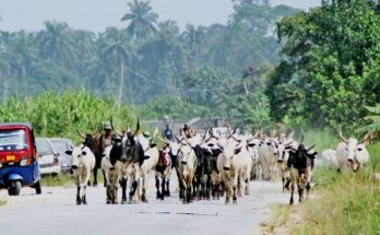 Herdsmen