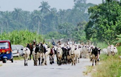 Herdsmen