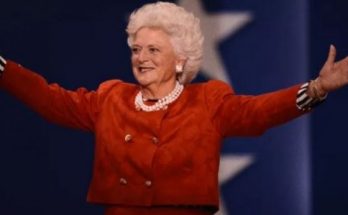 Bush