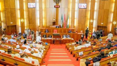 Senate drops bill seeking to introduce new election sequence  %Post Title