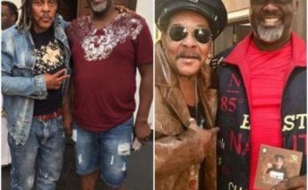 Majek