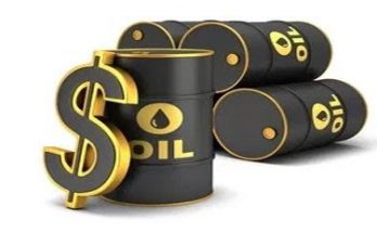 Oil