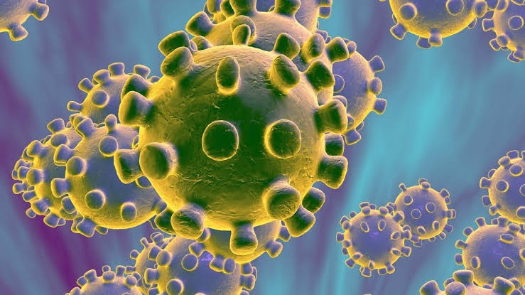 Egypt’s Coronavirus case tests negative – WHO  %Post Title