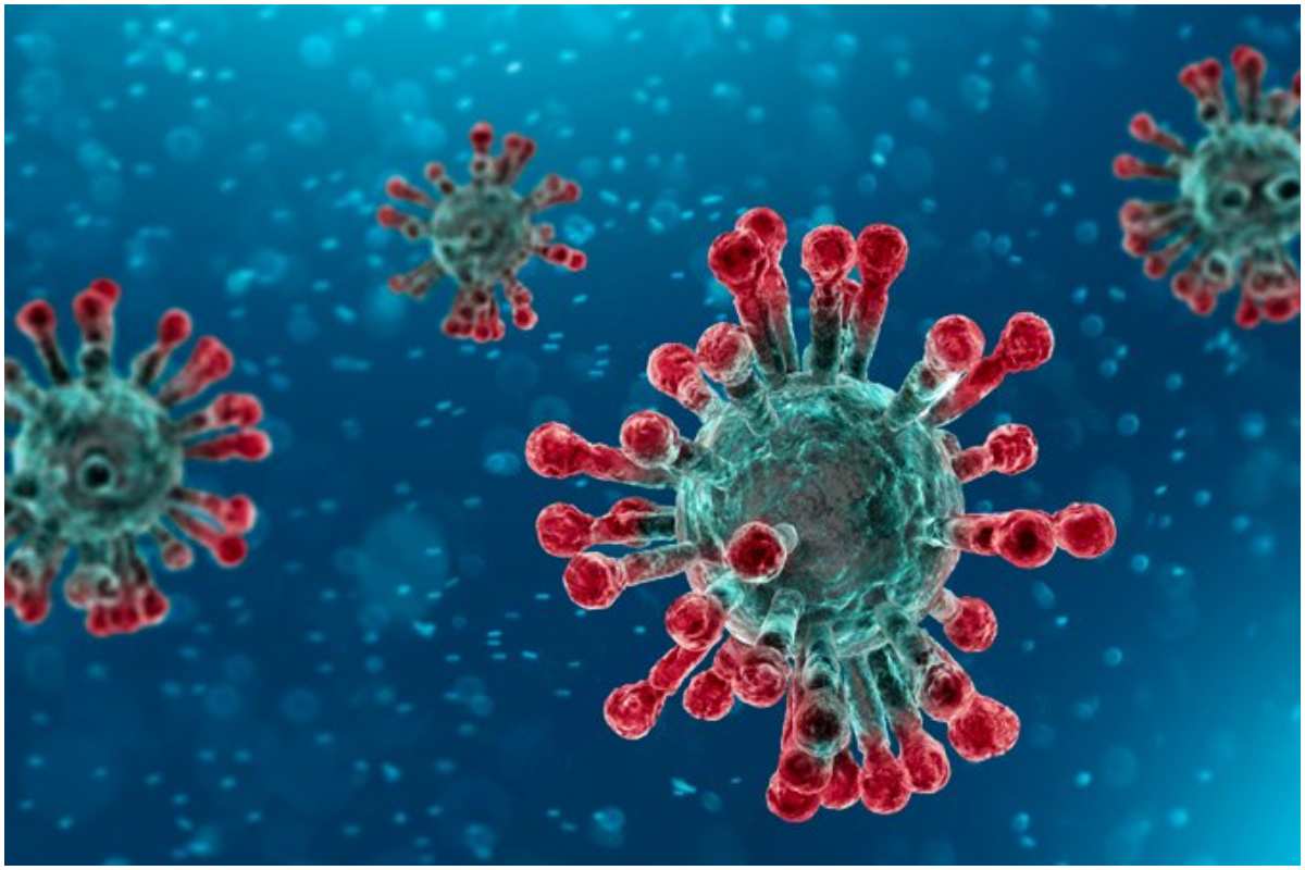 Coronavirus death toll in China hits 1000  %Post Title