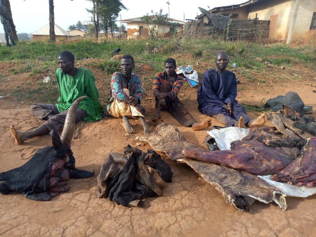 Six suspected cattle rustlers nabbed while sharing meat in forest  %Post Title