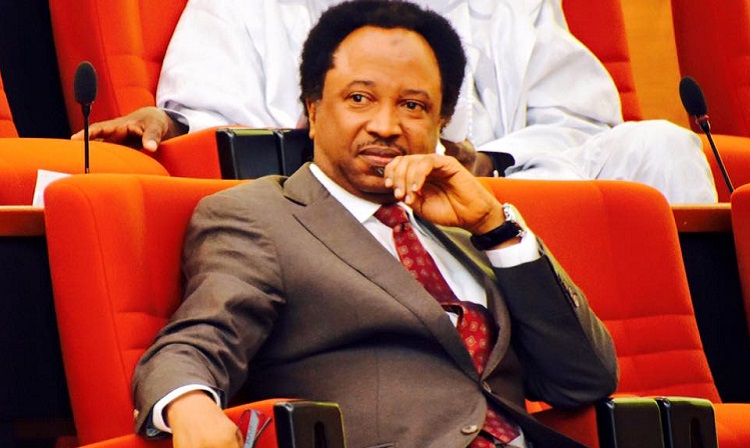 DEFECT NOW! APC has turned Shehu Sani to an internally displaced politician, says PDP Youth Wing  %Post Title