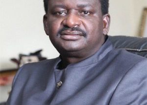 Femi Adesina