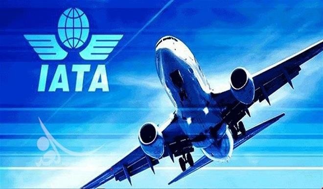 Business confidence has risen sharply in Nigeria - IATA  %Post Title