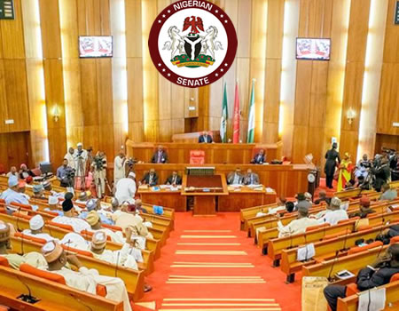 Onnoghen’s suspension: Senate calls emergency session - Photo/Image