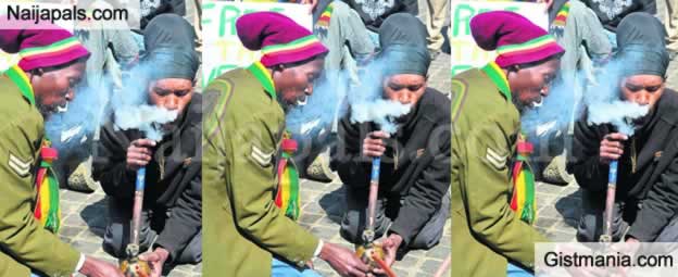 Marijuana Smokers Hold Competition In South Africa (Photos) - Photo/Image