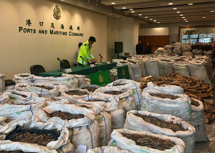 Hong Kong customs seize record haul of contraband from Nigeria %Post Title