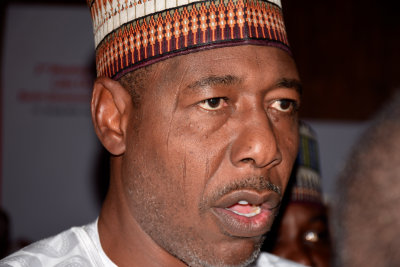 Tinubu’s tax reform will destroy the north — Gov Zulum  - Photo/Image