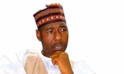 Not all surrendered insurgents are criminals, says Zulum  %Post Title