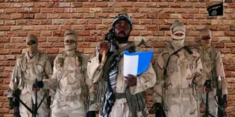 Shariah council asks Shekau to come out of hiding  %Post Title