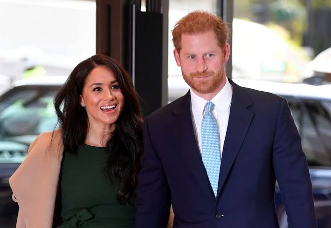 Harry and Meghan reportedly make N363m for speech in Florida  %Post Title
