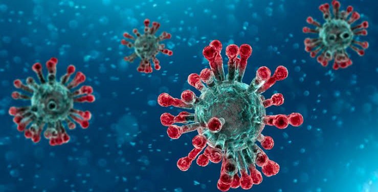 Coronavirus: Chinese hospitals discharge 1,153 recovered patients  %Post Title