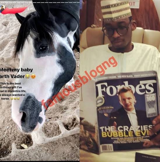 See The $15,000 Horse Gov. Ganduje's Son, Mamidu Bought As Birthday Gift For Girlfriend (PICs)  %Post Title