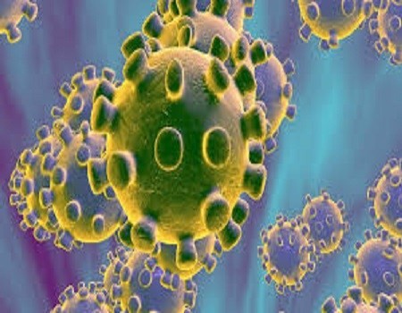 Somalia, Liberia, Benin, Tanzania confirm first coronavirus cases  %Post Title