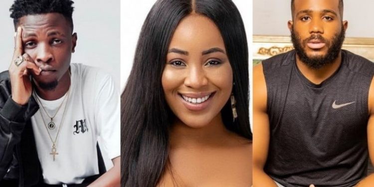 Laycon, Erica, Kiddwaya’s love triangle intrigues viewers  %Post Title