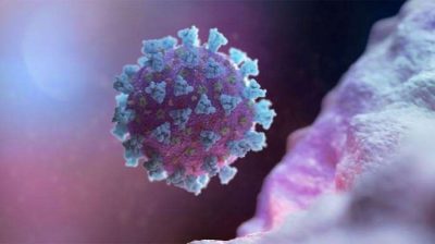 Nigeria records 60 new coronavirus infections, no death  %Post Title