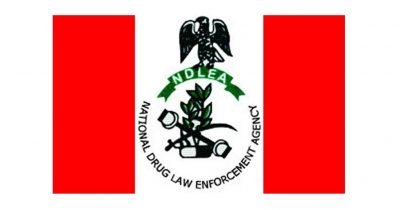How to identify a child on drugs - NDLEA tells parents  %Post Title