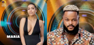 BBNaija: Why housemates couldn’t detect wildcards, and how they voted  %Post Title