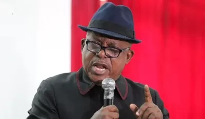 Only PDP's NEC Can Suspend Me - Secondus  %Post Title