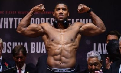 Anthony Joshua, Usyk pass final drug test  %Post Title