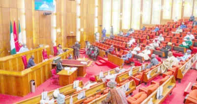 Uproar In Senate Over Plan To Give Bauchi, Lagos, Ogun Oil-Producing Status  %Post Title