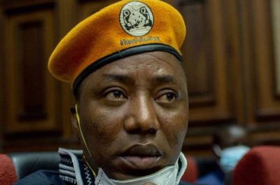 Omoyele Sowore files N200 million suit against police, Ned Nwoko  %Post Title
