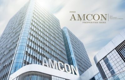 AMCON drags Demayo Holdings, directors to court for alleged N300m debt  %Post Title