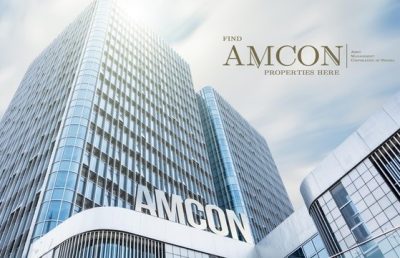 AMCON drags Demayo Holdings, directors to court for alleged N300m debt  - Photo/Image