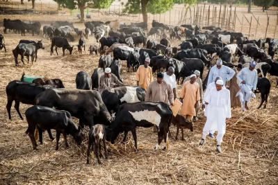 2023: Daura Farm On My Mind, Says Buhari  %Post Title