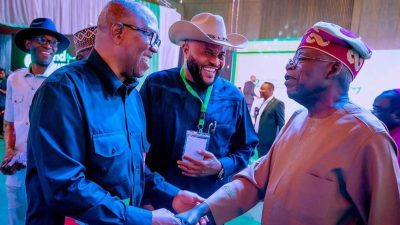 US gives pro-Obi group permission to use iconic park for anti-Tinubu protest  %Post Title