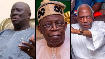 Fasoranti tackles Adebanjo as Afenifere’s division over Tinubu deepens  %Post Title