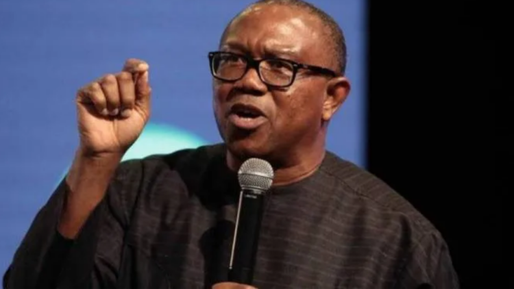 Igbo Youths Reject Senate President Slot, Demand Obi’s ‘Mandate’  %Post Title