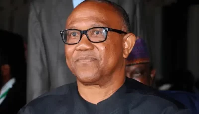 Labour Party reserves 2027 Presidential ticket for Peter Obi  %Post Title