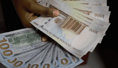 Naira maintains steady fall as speculators scoop dollars  %Post Title
